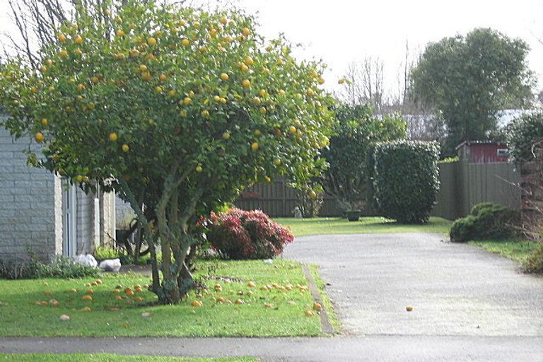 Photo of property in 20a Bremworth Avenue, Dinsdale, Hamilton, 3204