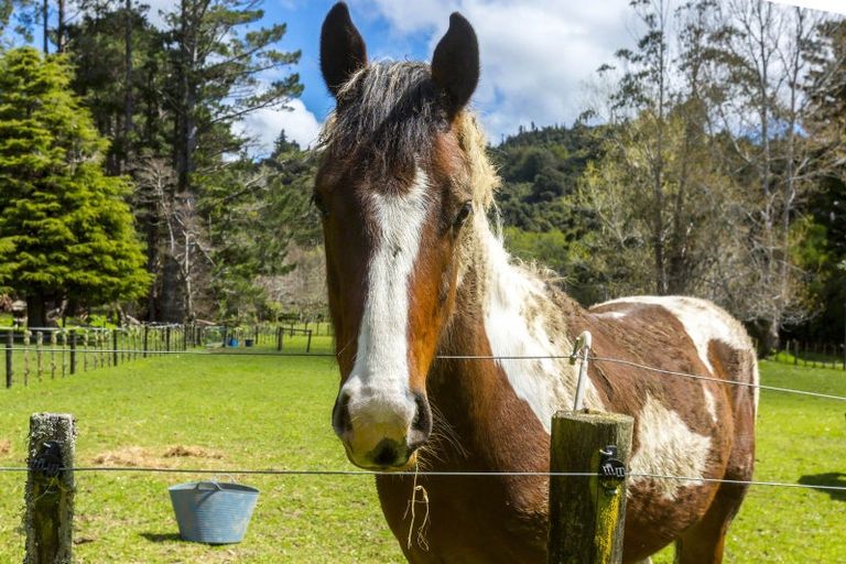 Photo of property in 1063c Blue Mountains Road, Blue Mountains, Upper Hutt, 5371