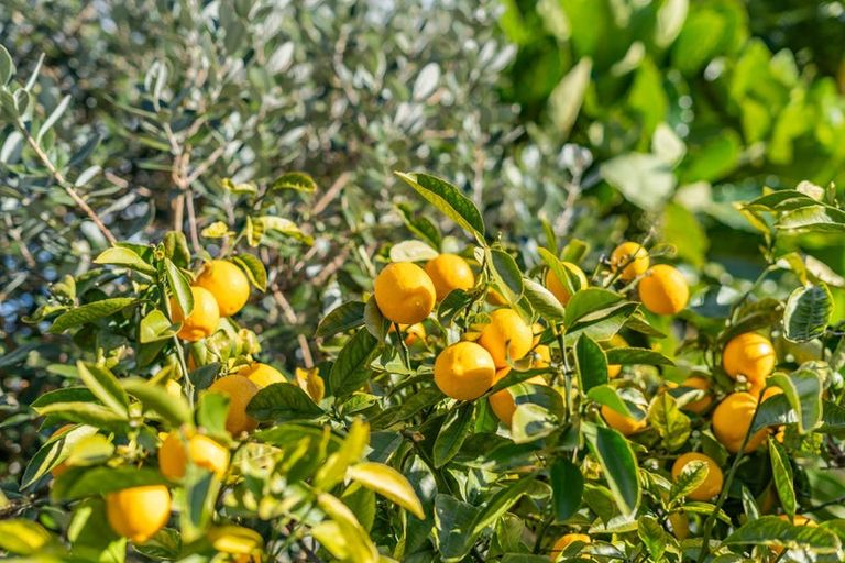 Photo of property in 126 Mana Esplanade, Paremata, Porirua, 5026