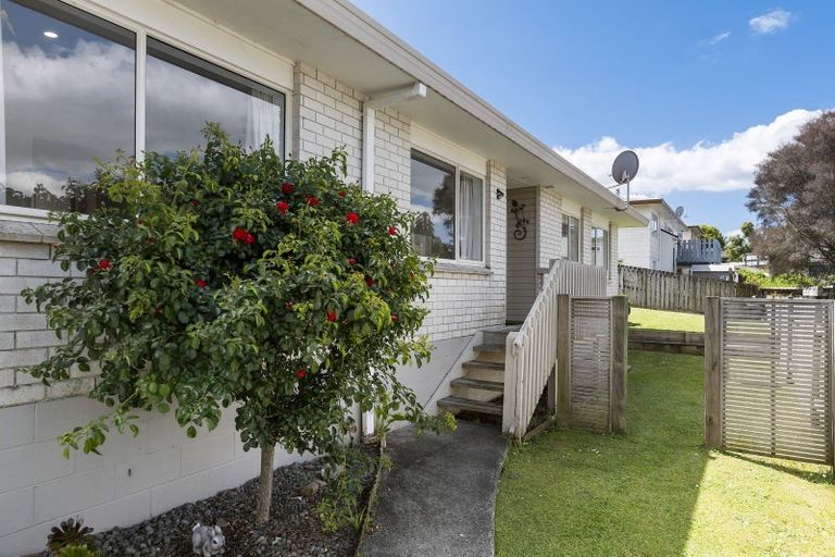 Photo of property in 3a Dunrobbin Place, Gate Pa, Tauranga, 3112