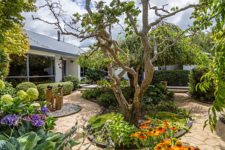 Photo of property in 8 Mole Street, Greytown, 5712