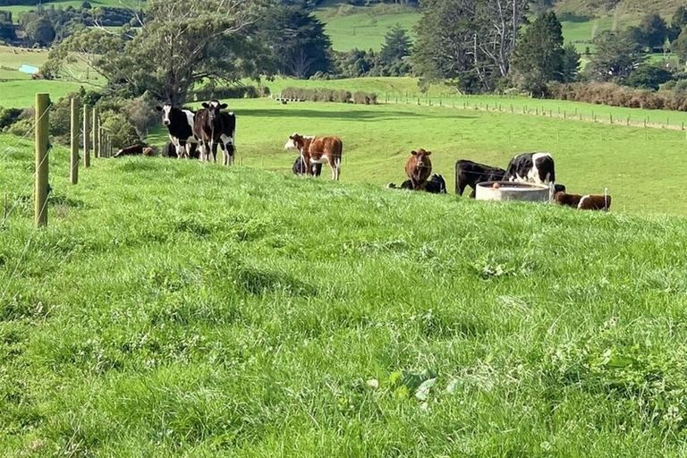 Photo of property in 21 Spargo Road, Huirangi, New Plymouth, 4373