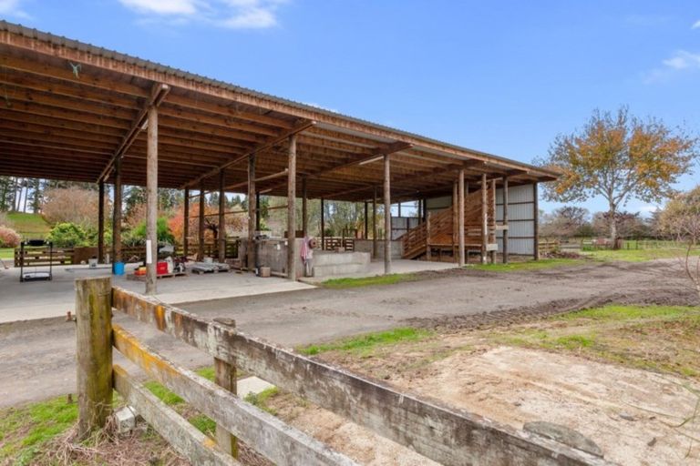 Photo of property in 131e Hogg Road, Rotoma, Whakatane, 3192