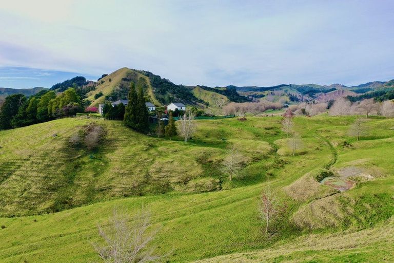 Photo of property in 40 Ormond Valley Road, Ormond, Gisborne, 4071