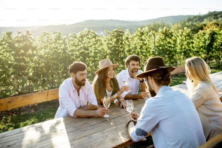 Photo of property in 62 Hauraki Road, Leigh, 0985