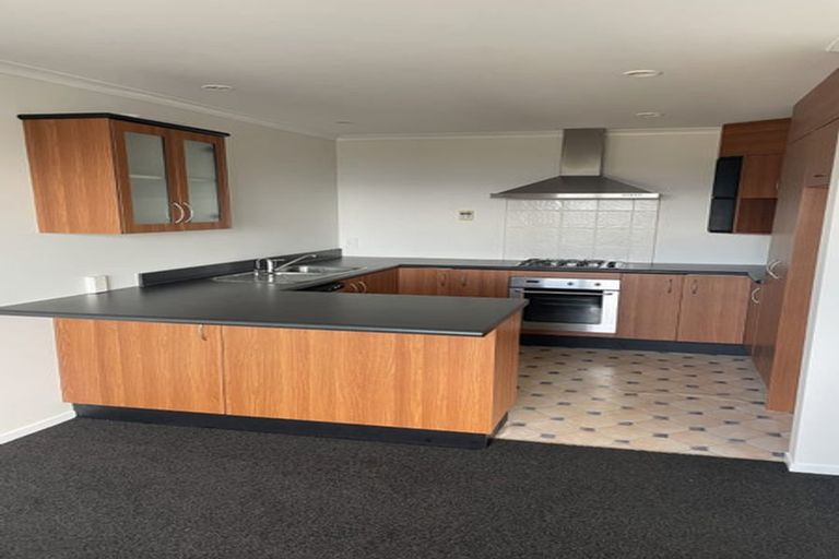 Photo of property in 17 Sirsi Terrace, Broadmeadows, Wellington, 6035