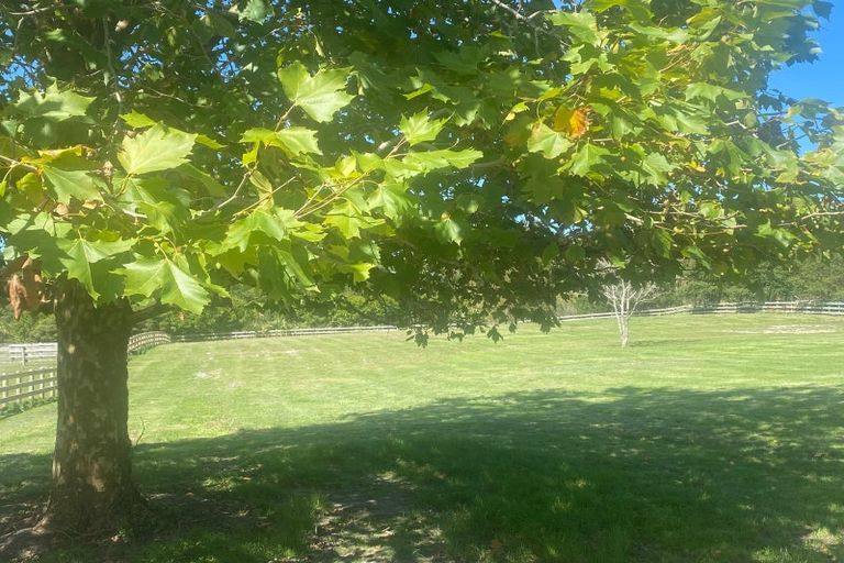 Photo of property in 98 Mahoenui Valley Road, Coatesville, 0793