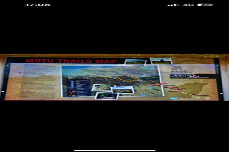 Photo of property in 1318 Motu Road, Motu, Te Karaka, 4092