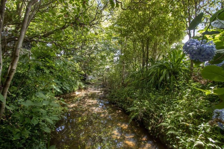 Photo of property in 10 Richmal Street, Waihi, 3610