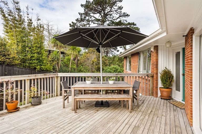 Photo of property in 41 Woodstock Road, Forrest Hill, Auckland, 0620