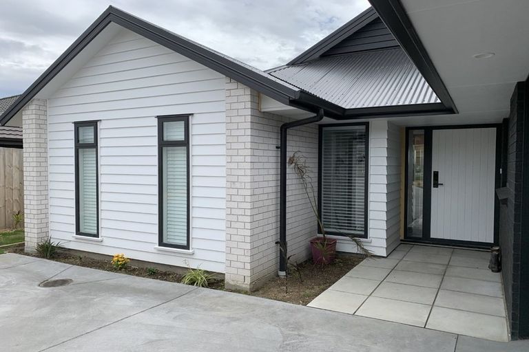 Photo of property in 8 Pinkerton Place, Ohauiti, Tauranga, 3112