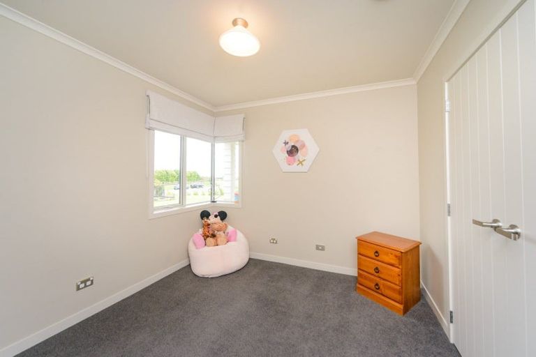 Photo of property in 12 Wapiti Avenue, Feilding, 4775