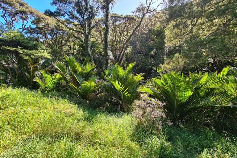 Photo of property in 79 Woods Road South, Colville, Coromandel, 3584