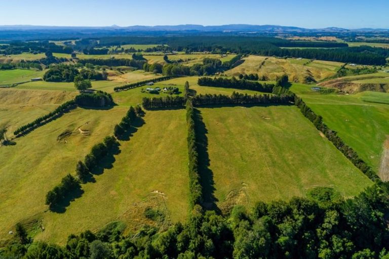 Photo of property in 1798 Te Matai Road, Te Ranga, Te Puke, 3188
