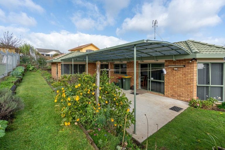 Photo of property in 265 Grandview Road, Western Heights, Hamilton, 3200