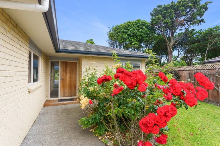 Photo of property in 42 Sue Avenue, Otaki, 5512