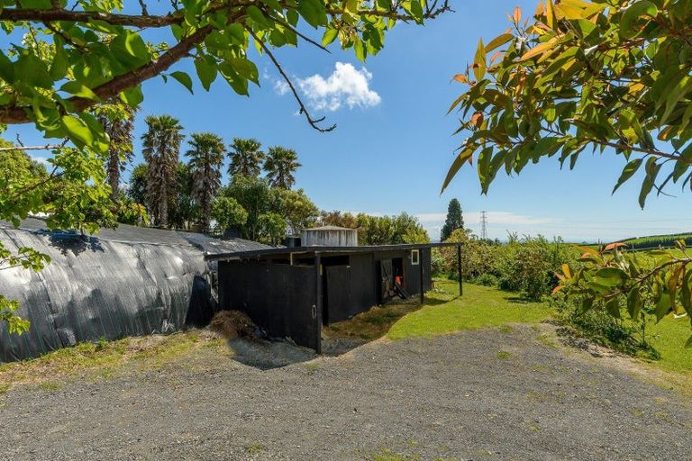 Photo of property in 11g Rowe Road, Ohauiti, Tauranga, 3173
