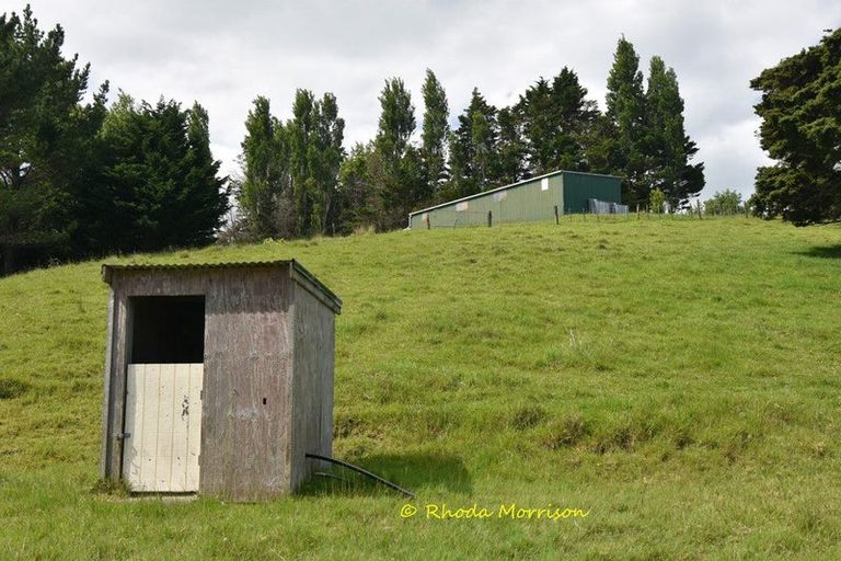 Photo of property in 69 Matakohe Wharf Road, Matakohe, 0593