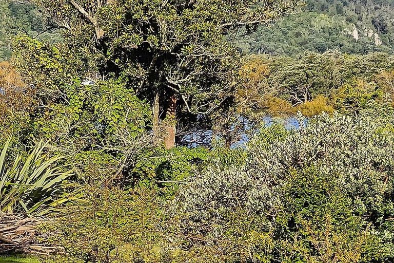 Photo of property in 107a Durrant Drive, Whangamata, 3620
