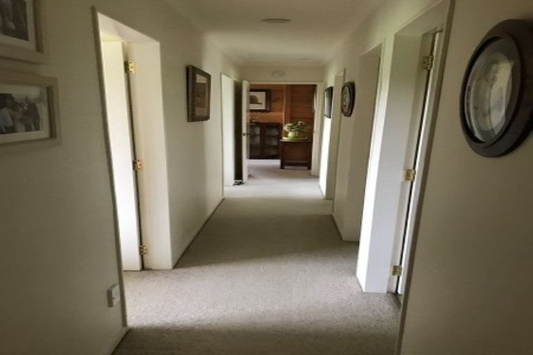 Photo of property in 74 Prole Road, Omokoroa, Tauranga, 3172