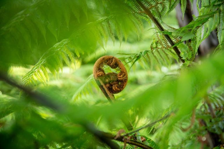 Photo of property in 16 Saint John Street, Aro Valley, Wellington, 6011