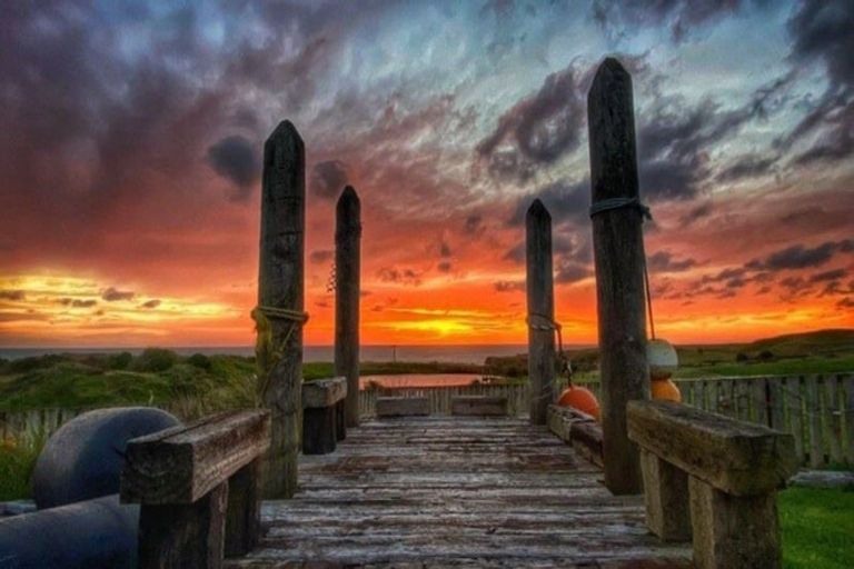 Photo of property in 6 Ironsands, Waverley, 4591