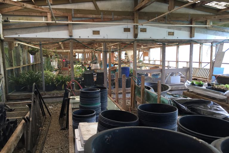 Photo of property in 85 Newton Road, Maungatapere, Whangarei, 0170