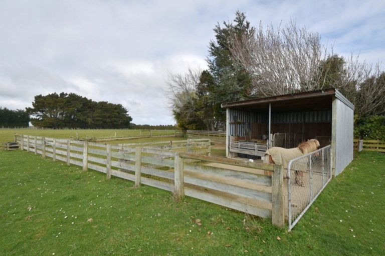 Photo of property in 699 Ryal Bush Wallacetown Road, Wallacetown, Invercargill, 9874