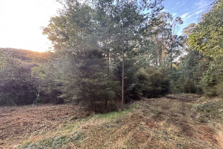 Photo of property in 40 Saddleview Place, Fairfield, Dunedin, 9076