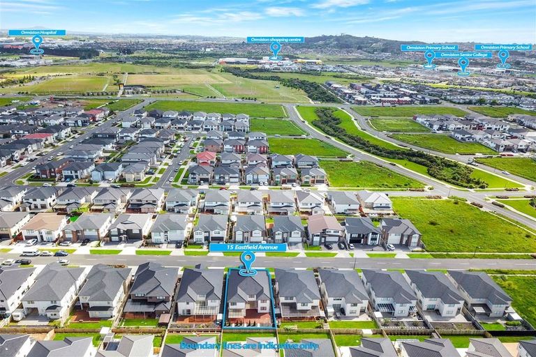 Photo of property in 15 Eastfield Avenue, Flat Bush, Auckland, 2019