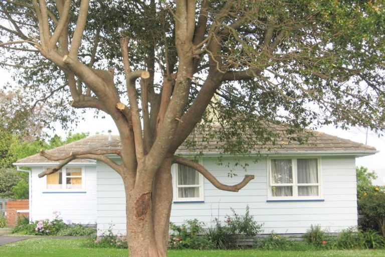 Photo of property in 58 Lyell Road, Outer Kaiti, Gisborne, 4010