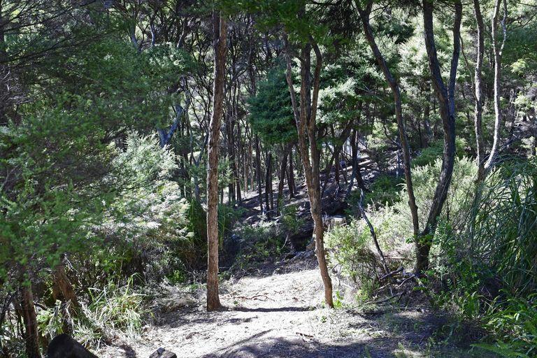 Photo of property in 6 Lavinia Place, Kawau Island, 0920