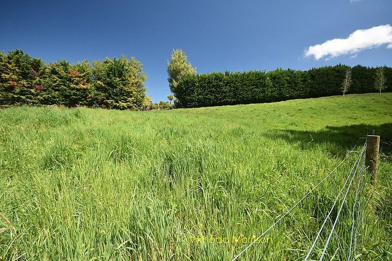 Photo of property in 245 Metcalfe Road, Matakohe, 0593