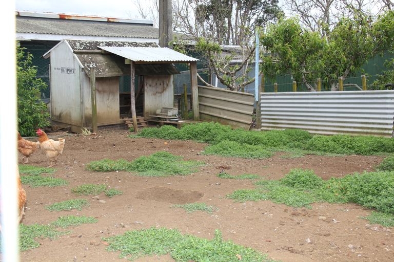 Photo of property in 85 Newton Road, Maungatapere, Whangarei, 0170