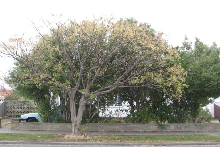 Photo of property in 85 Nuffield Avenue, Marewa, Napier, 4110