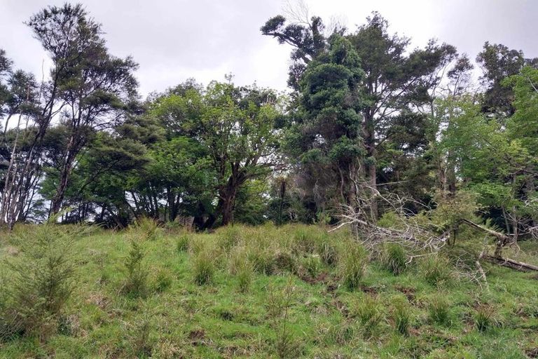 Photo of property in 1762 Kohumaru Road, Peria, Kaitaia, 0482