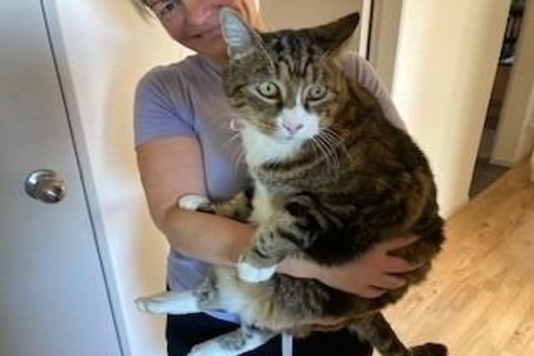 Photo of property in 136 Leyland Road, Whakamarama, Tauranga, 3179