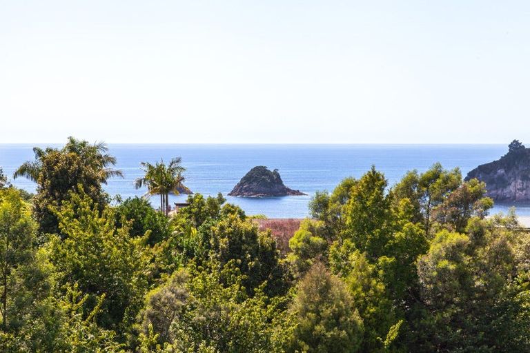 Photo of property in 65 Grange Road, Hahei, Whitianga, 3591
