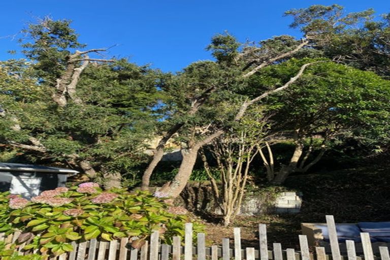 Photo of property in 67a Renown Road, Raumati South, Paraparaumu, 5032