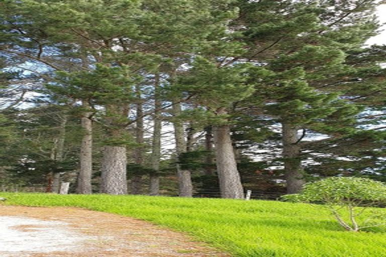 Photo of property in 736 Whakapirau Road, Whakapirau, Maungaturoto, 0583