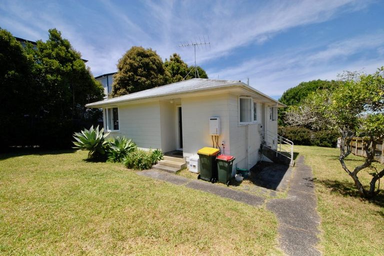 Photo of property in 51 Potter Avenue, Northcote, Auckland, 0627