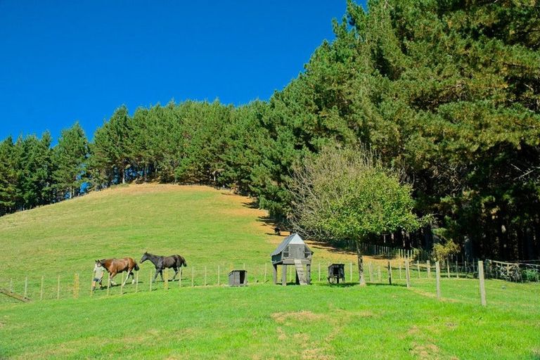 Photo of property in 1215 Wharekopae Road, Ngatapa, Gisborne, 4072