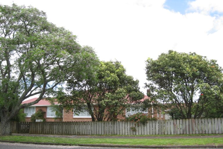Photo of property in 14 Jutland Road, Pukekohe, 2120