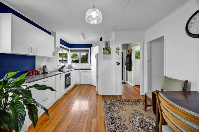 Photo of property in 17 Antonio Street, Stratford, 4332