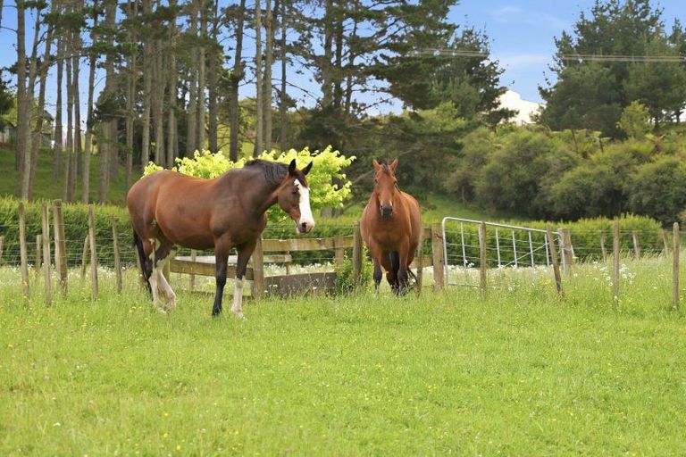 Photo of property in 372a Crawford Road, Minden, Tauranga, 3171