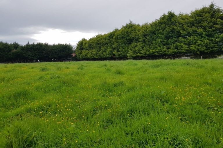 Photo of property in 64 Dunlop Road, Clydevale, Balclutha, 9274