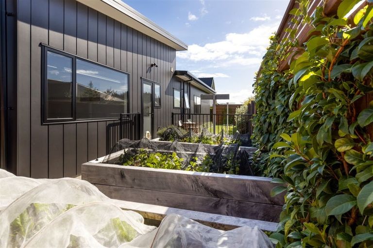 Photo of property in 231 Taylor Pass Road, Witherlea, Blenheim, 7201