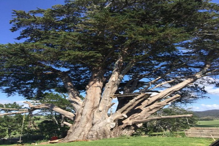 Photo of property in 501 Tara Road, Mangawhai, Kaiwaka, 0573