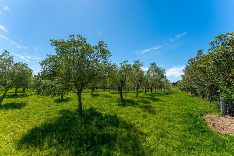 Photo of property in 801 Rolling Ridges Road, Levels Valley, Timaru, 7975