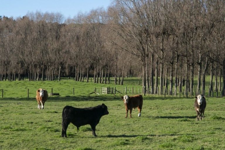 Photo of property in State Highway 1, Otaki, 5512